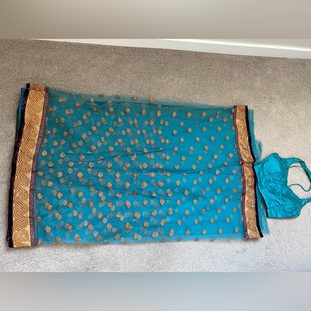 Women’s Net Sari With Matching Halter Blouse (Xs) - image 1